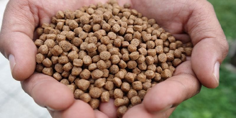 Floating Fish Food Value Pack 3mm Pellets - 500g - image 4