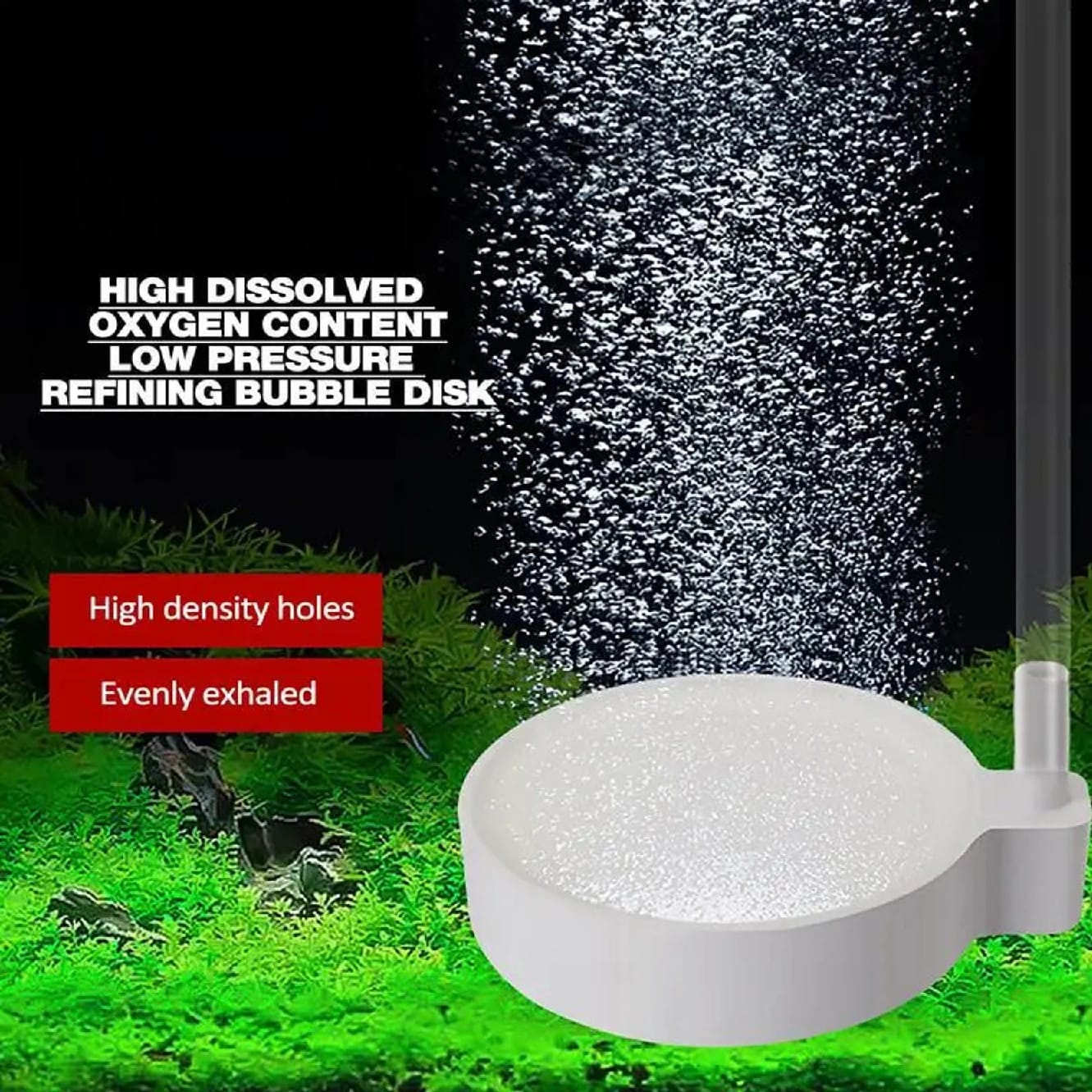 N50 4cm Nano Refined White Air Disc – Aquarium Air Stone For Fish Tank & Pond Oxygen Pump - image 1