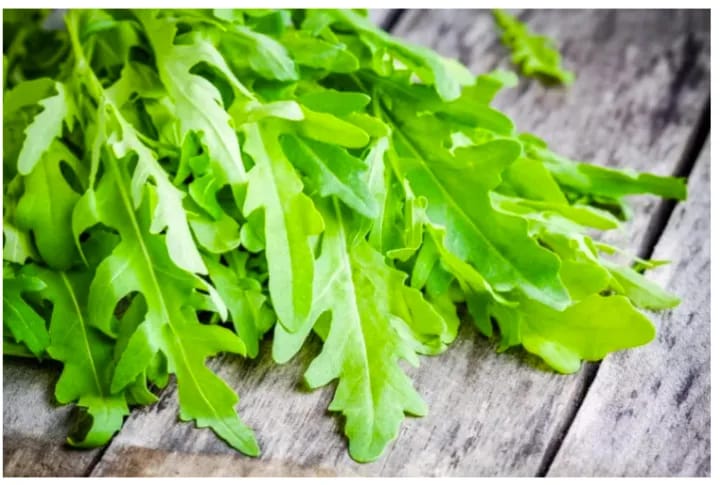 Arugula Salad Rocket Rucola 20+ Seeds For Planting Loose Pack - image 2