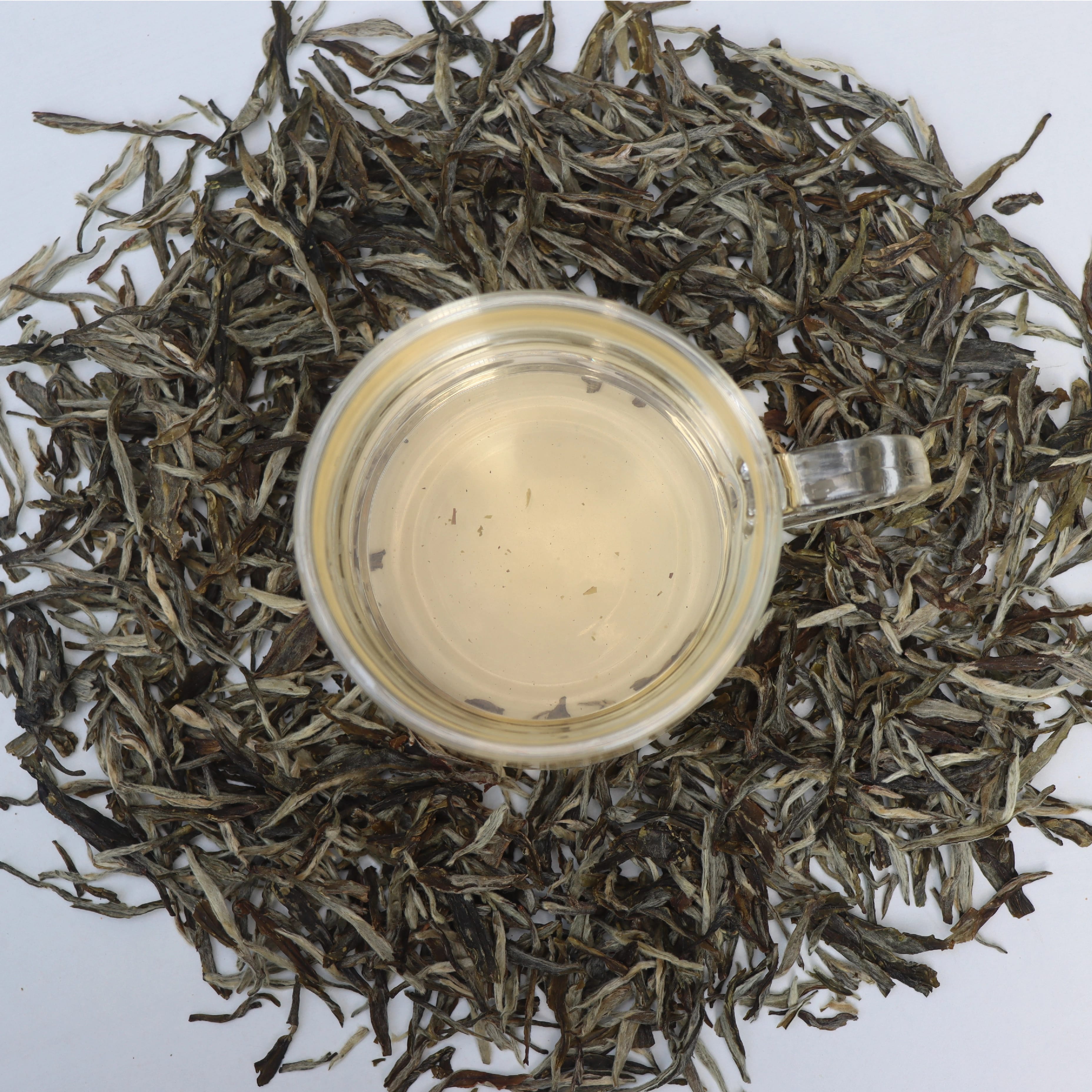 Silver Tea 100gm - image 2