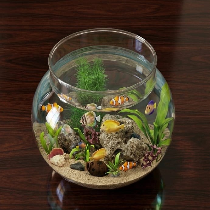 Lucky Bamboo Pot Planter Only Glass Crystal Quality Vase - image 1