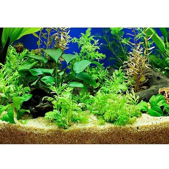 River Sand 1 Kg Useful For Plants And Aquarium Purpose/Pure Natural Baalu Balu All Purpose Used - image 2