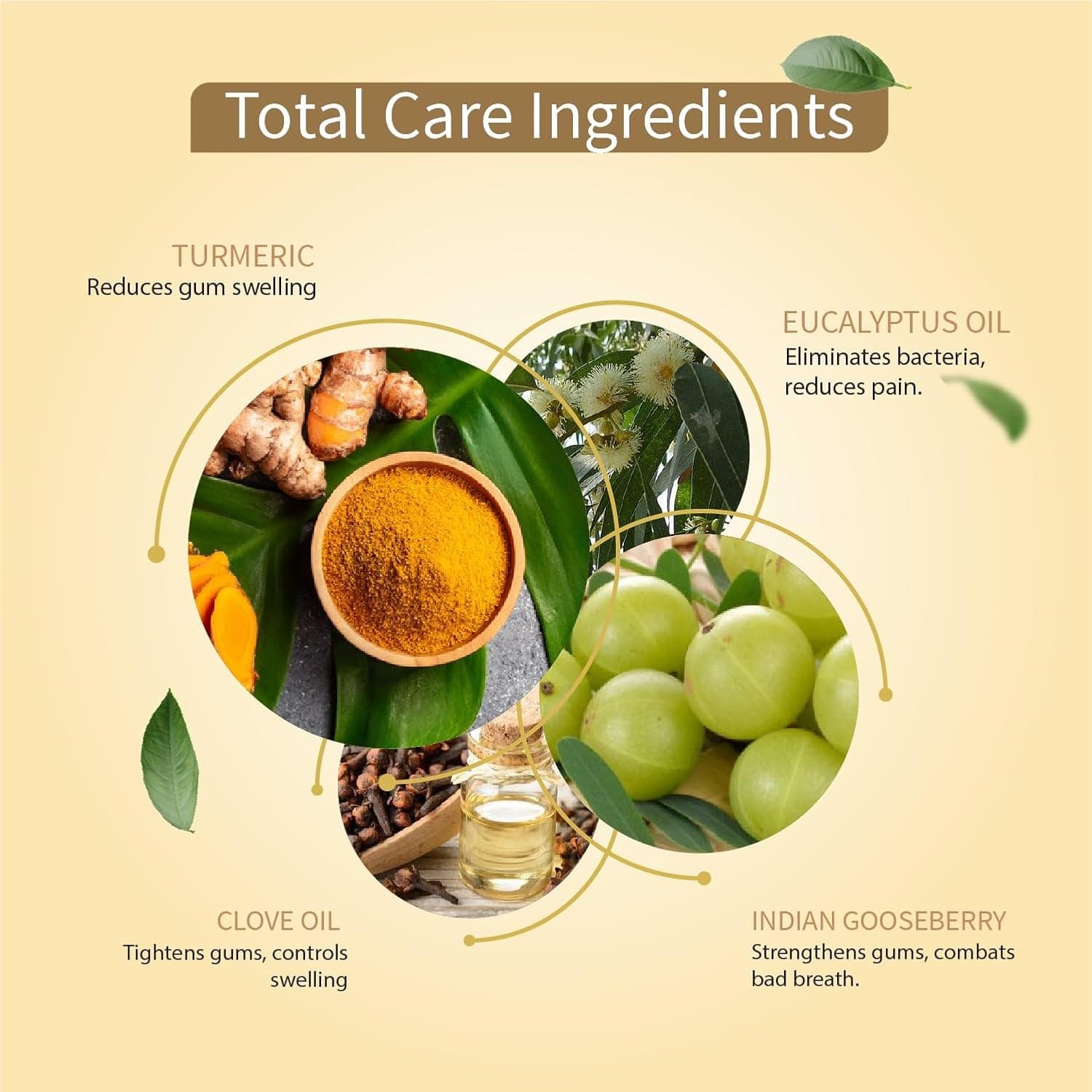 Ayouthveda Ayurvedic Total Care 360 Toothpaste - 100gm | Enriched With Turmeric & Eucalyptus Oil - image 2
