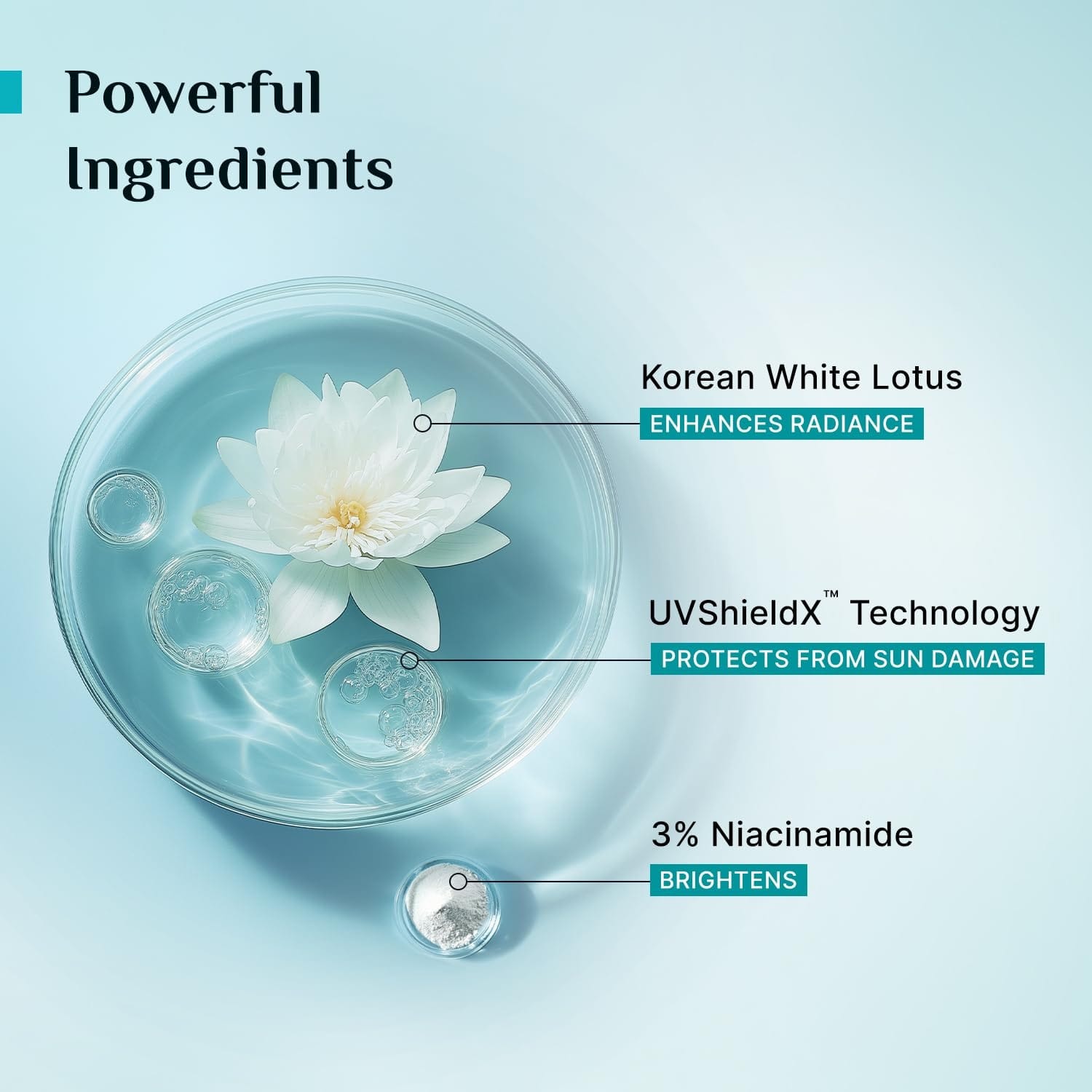Pilgrim Korean White Lotus Tinted Sunscreen SPF 50+ PA++++ 50 ml - image 3