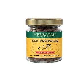 Herbopal Bee Propolis Capsules | Natural Bee Propolis Extract Supplement For Immune Support & Daily Wellness | 10 Capsules - image 2