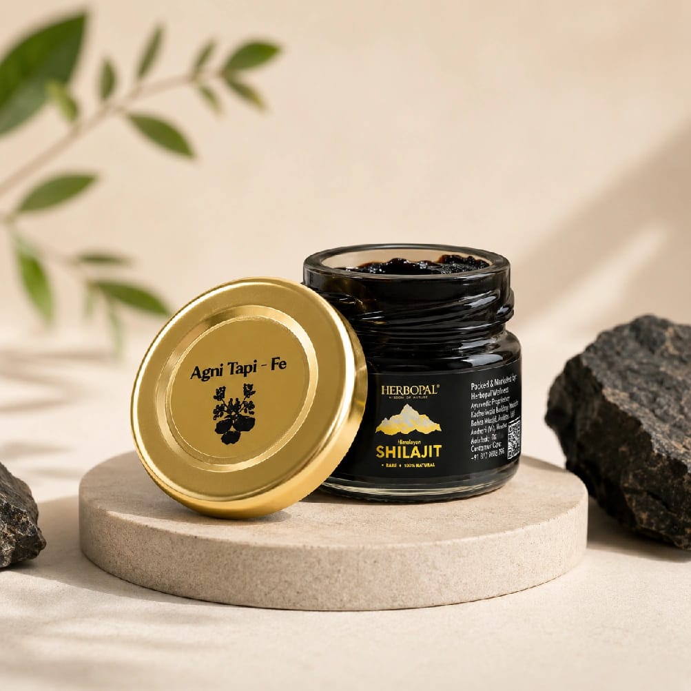 Herbopal Iron Shilajit Nepal | Triphala Shilajit Resin | Himalayan Natural Mineral Supplement | Iron Grade | 25G Pack - image 1