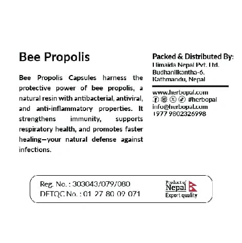 Herbopal Bee Propolis Capsules | Natural Bee Propolis Extract Supplement For Immune Support & Daily Wellness | 35 Capsules - image 3