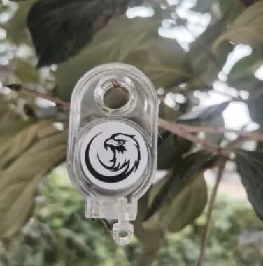 Set of 5 pcs Mini chiken trap - image 3