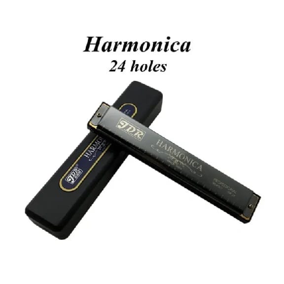 Harmonica 24 Hole 48 Tones C Key With Case, Diatonic Harmonica For Beginner, Adult, Kids - Musical Instruments - image 2