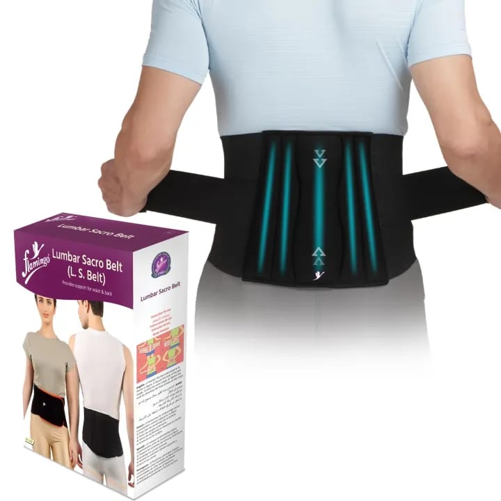 Flamingo Lumbar Sacro Belt - For Lower Back Pain, Improves Posture - image 1