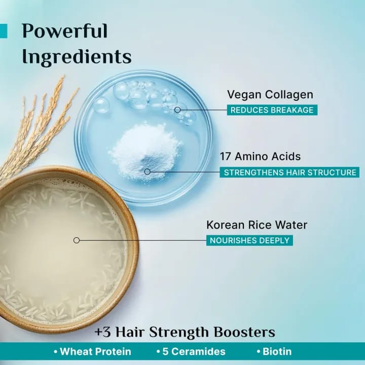 Pilgrim Korean Rice Water & Collagen Advanced Damage Repair Shampoo - 400ml | with 17 Amino Acids, Wheat Protein & 5 Ceramides | Paraben-Free | For Dry & Damaged Hair | For Women and Men - image 2
