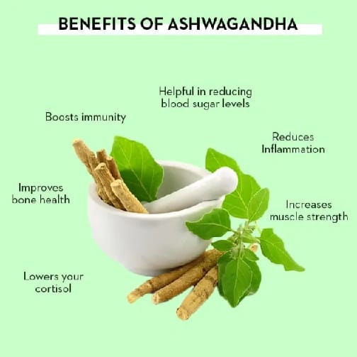 Pack Of 4 Aswagandha Capsule - 60 Capsule @ 4 Box - Gorkha Ayurved - image 3