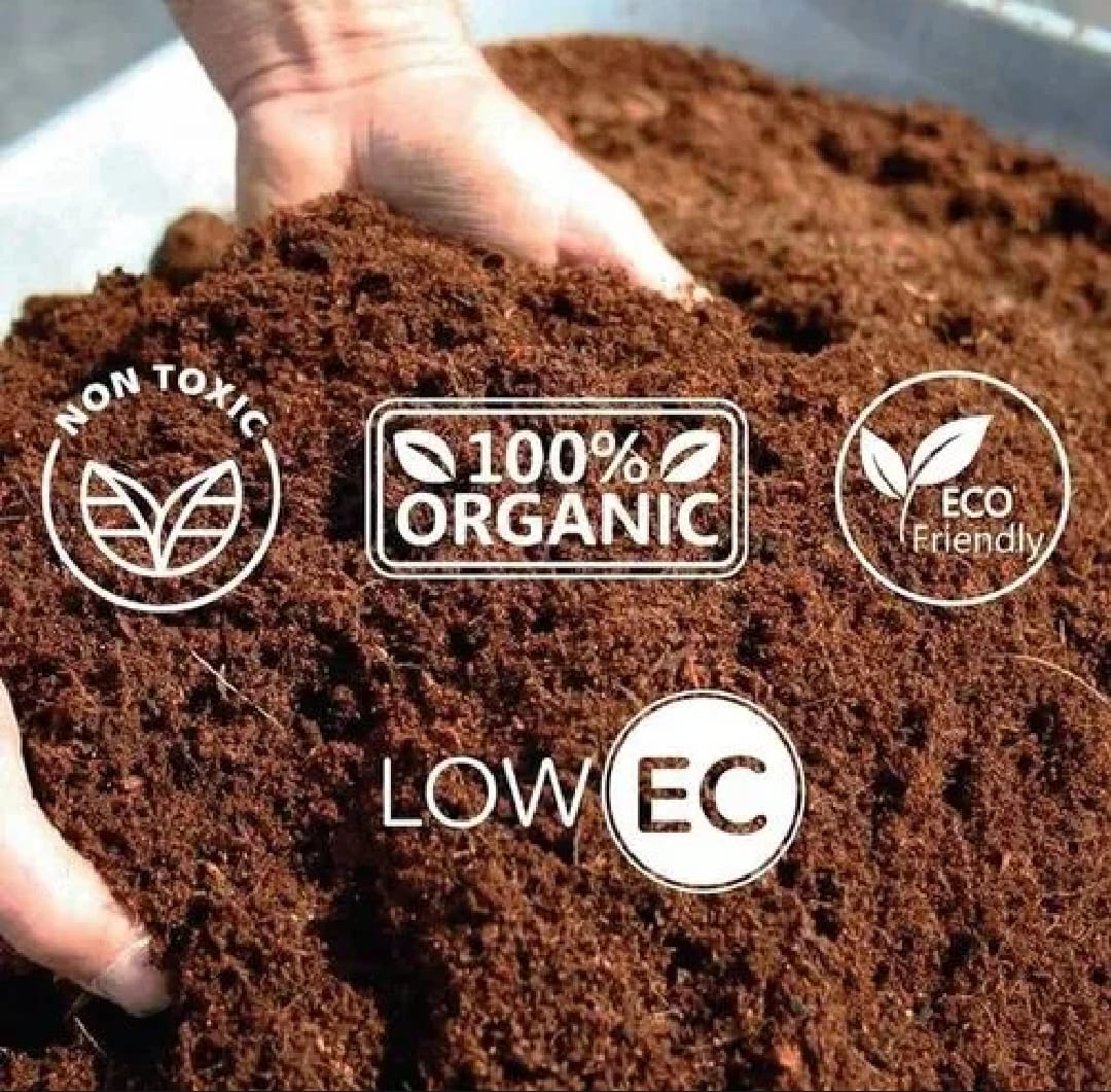 1 Kg Loose Cocopeat Powder 100% Organic & Low EC