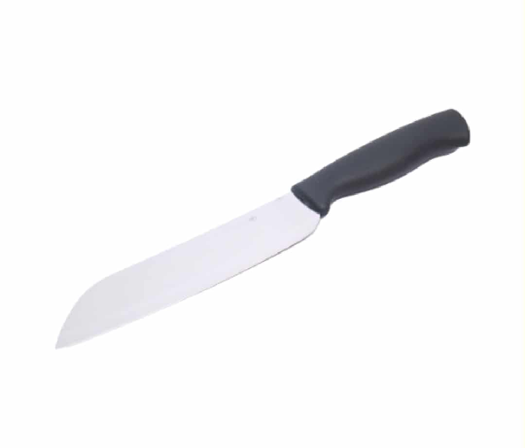 Baltra 9 Inch Stainless Steel Knife (CARVING)BTKP200-9