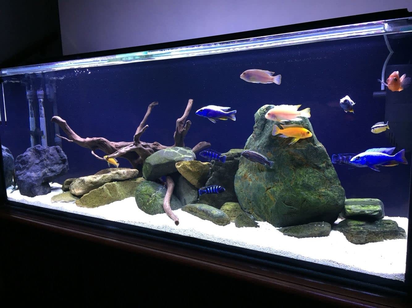 72x36 Black Background Wallpaper For Aquarium By Crown Aquatics - image 1