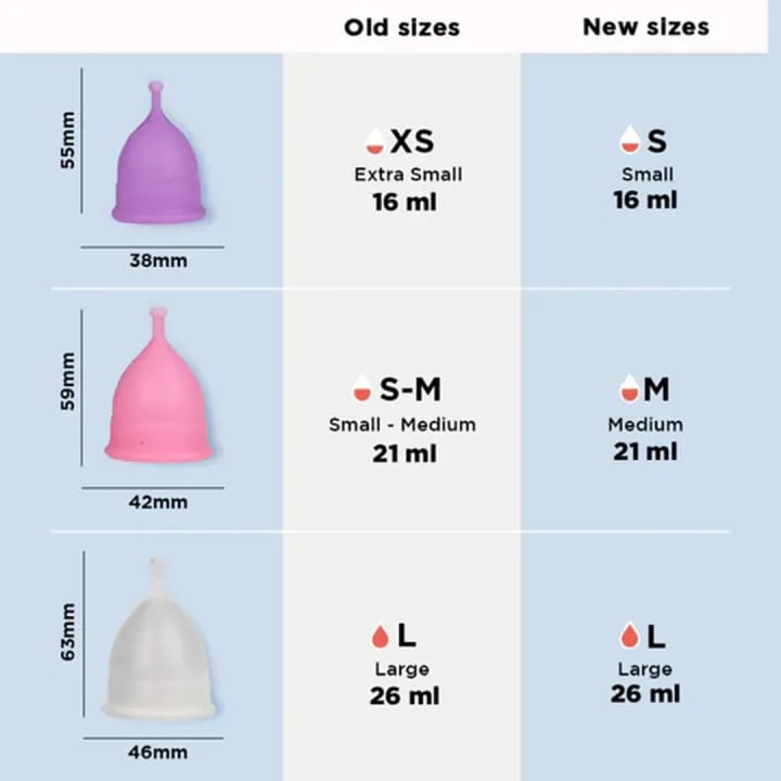 Pee Safe Menstrual Cup Large + Sterilizer Container - image 3