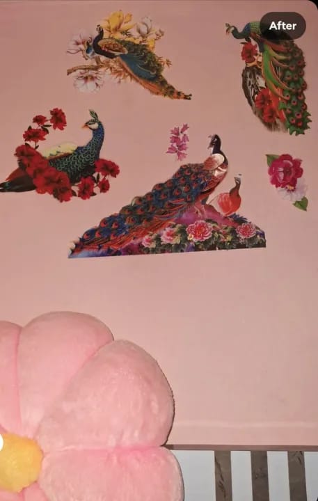 Design Wall Sticker for Living Room Peacock Birds Nature - image 4