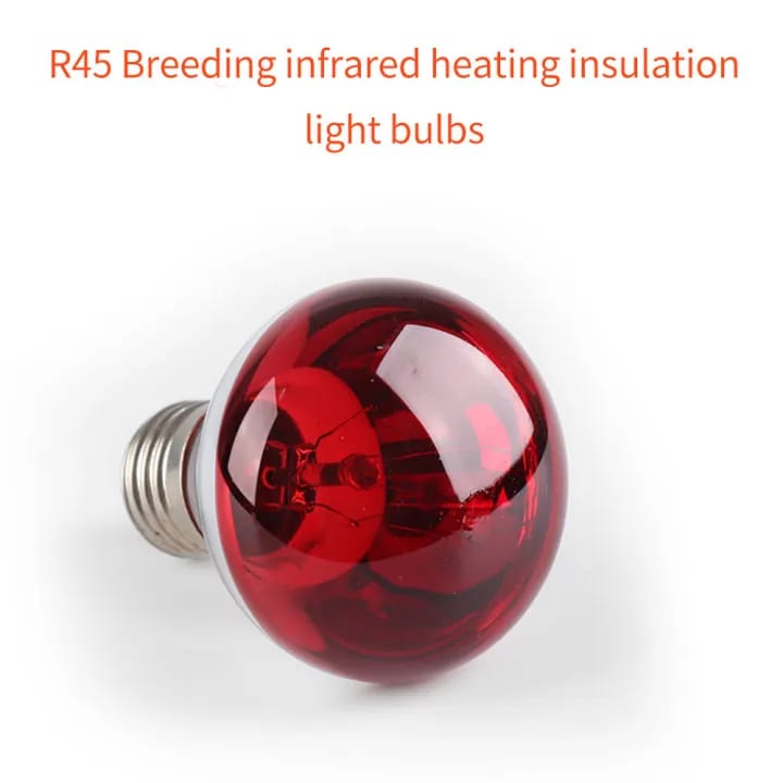 Infrared Heating Lamp Breeding Bulb And Free Heavy Duty Pendent Holder, 250W Pet Brooder Hatch Chicken, Animals Infrared Lamp - image 5