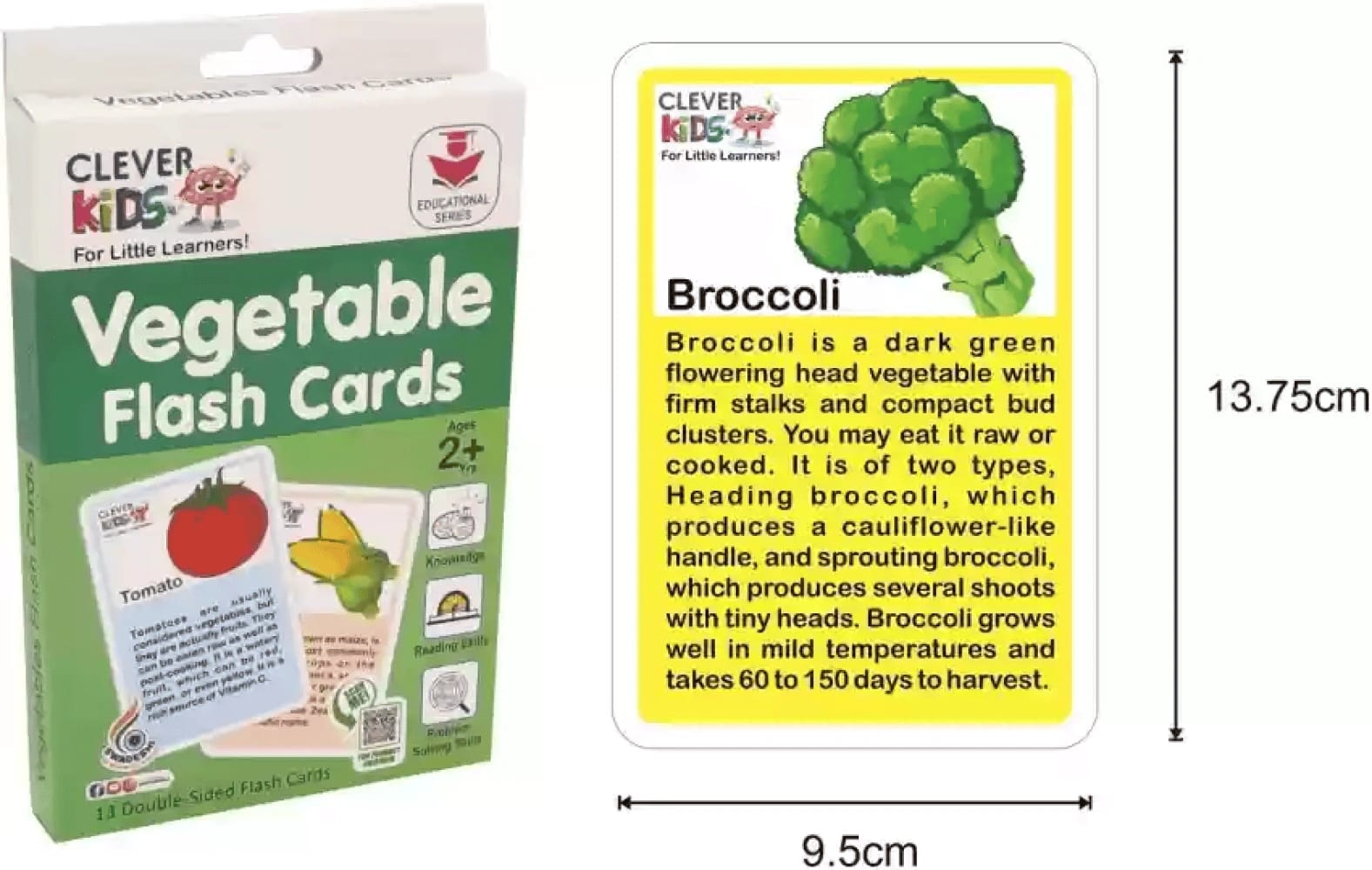 Ratna 12 Double-Sided Educational Flash Cards – 2+ Years - image 3