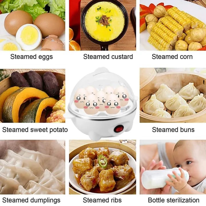 Electric Egg Cooker, Boiler, Poacher & Steamer - image 1