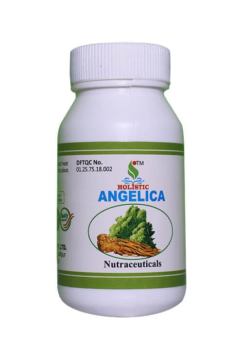 Holistic Angelica Nutraceuticals Supplement 90 Capsule, 45g - image 1
