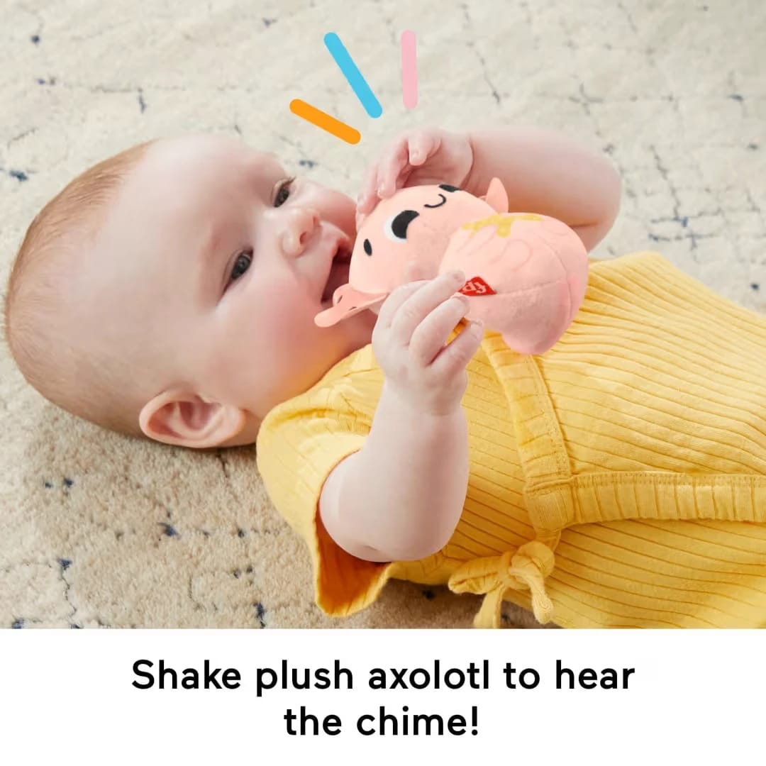 Mattel Fisher-Price So Many Senses Gift Set - image 4