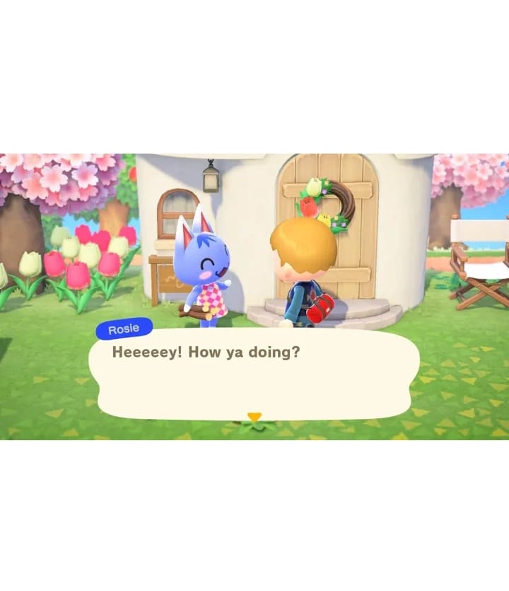 Nintendo Switch Game Animal Crossing: New Horizons - image 3