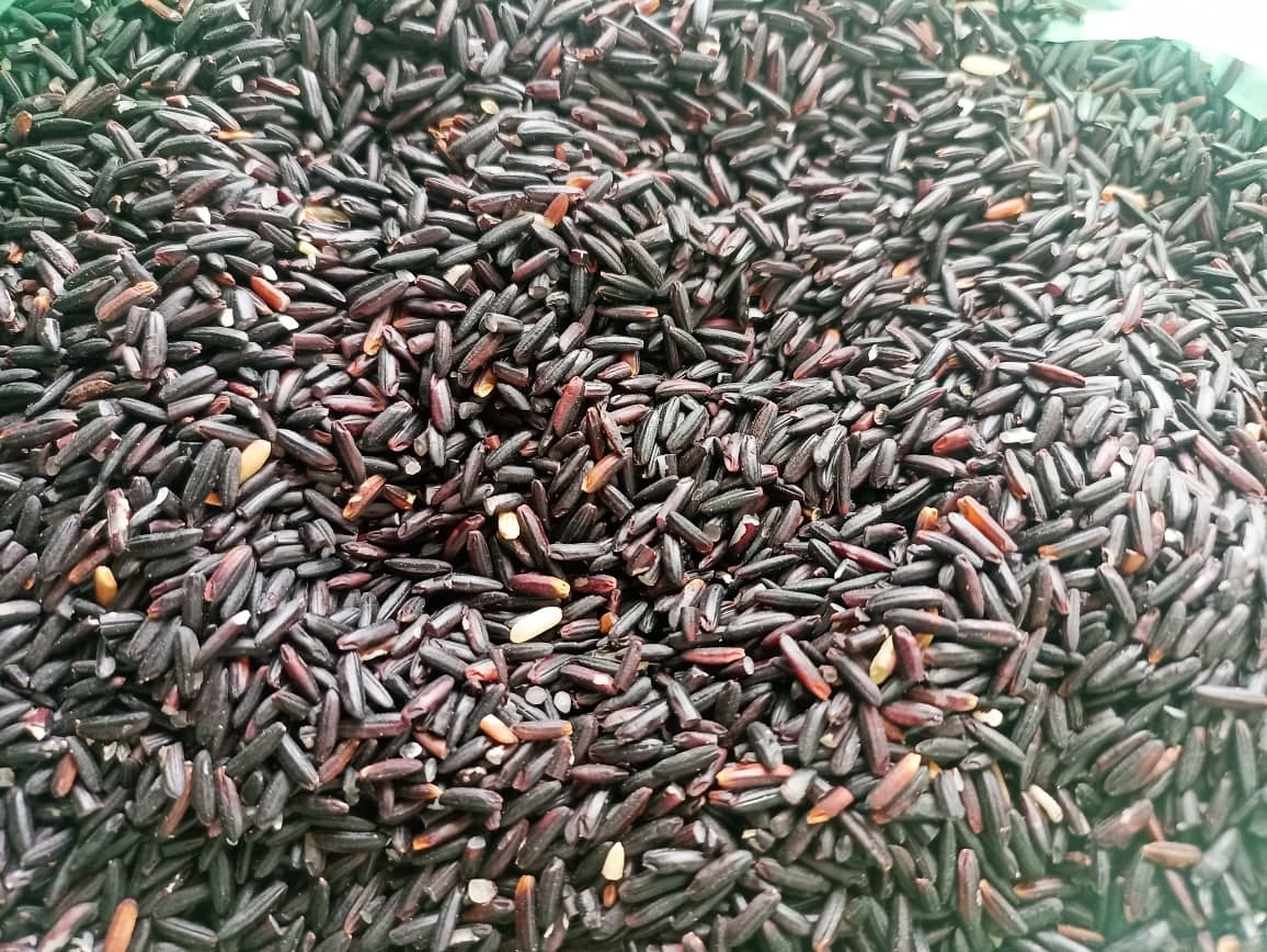 Black Rice 1 kg 100 Percent Organic From Sindhuli - image 1