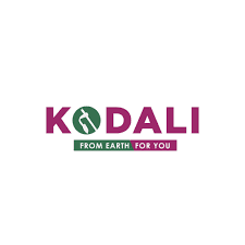 Kodali ventures Pvt Ltd